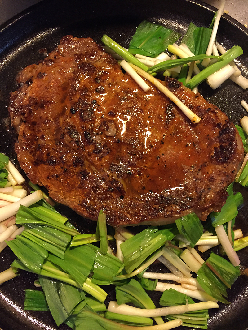 Ramp cultivation? Page 3 TerraForums Venus Flytrap, Nepenthes